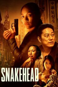 ดูหนังออนไลน์เรื่อง Snakehead (2021) บรรยายไทย เต็มเรื่อง