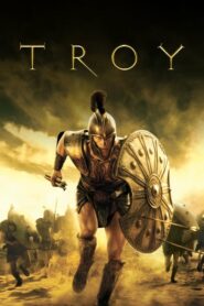 Troy มหาสงครามแห่งกรุงทรอย (2004) ดูหนังสงคราม
