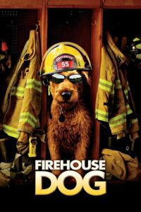 Firehouse Dog 2007 ยอดคุณตูบ ฮีโร่นักดับเพลิง ดูหนังฟิลกู๊ดที่มีแต่รอยยิ้ม