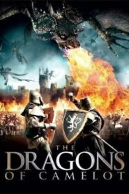 Dragons of Camelot ศึกอัศวินถล่มมังกรเพลิง (2014)ดูหนังออนไลน์