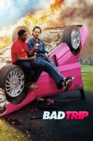 Bad Trip ทริปป่วนคู่อำ (2021) ดูหนังออนไลน์เต็มเรื่อง