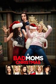 A Bad Mom s Christmas คริสต์มาสป่วน แก๊งค์แม่ชวนคึก(2017) Full HD