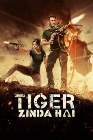 Tiger Zinda Hai ไทเกอร์ยังอยู่ (2017) ดูหนังออนไลน์หนังบู๊