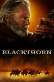 Blackthorn เสือลายคราม (2011) รีวิวภาพยนตร์สุดยิ่งใหญ่