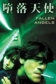 Fallen Angels นักฆ่าตาชั้นเดียว (1995) ดื่มด่ำสุดยอดภาพยนตร์